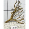 Talawa wood 08