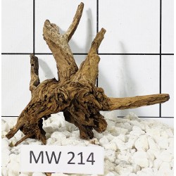 Mangrovewood 214