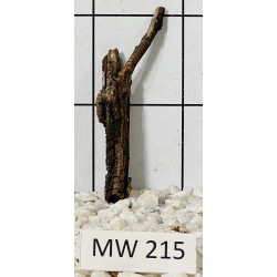 Mangrovewood 215