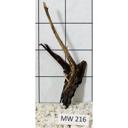 Mangrovewood 216