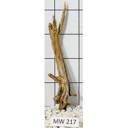 Mangrovewood 217