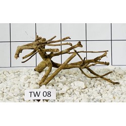 Talawa wood 08