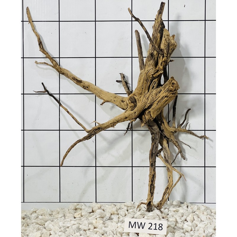 Mangrovewood 218