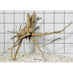 Mangrovewood 218
