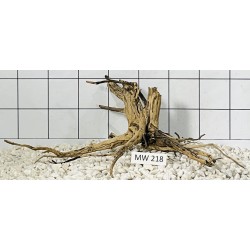 Mangrovewood 218