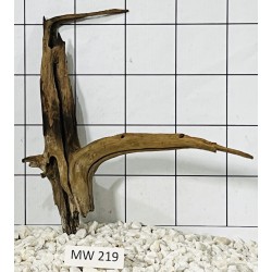 Mangrovewood 219
