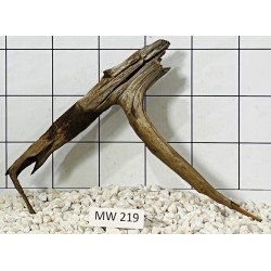 Mangrovewood 219