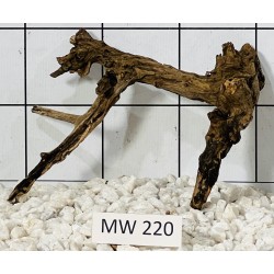 Mangrovewood 220