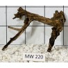 Mangrovewood 220