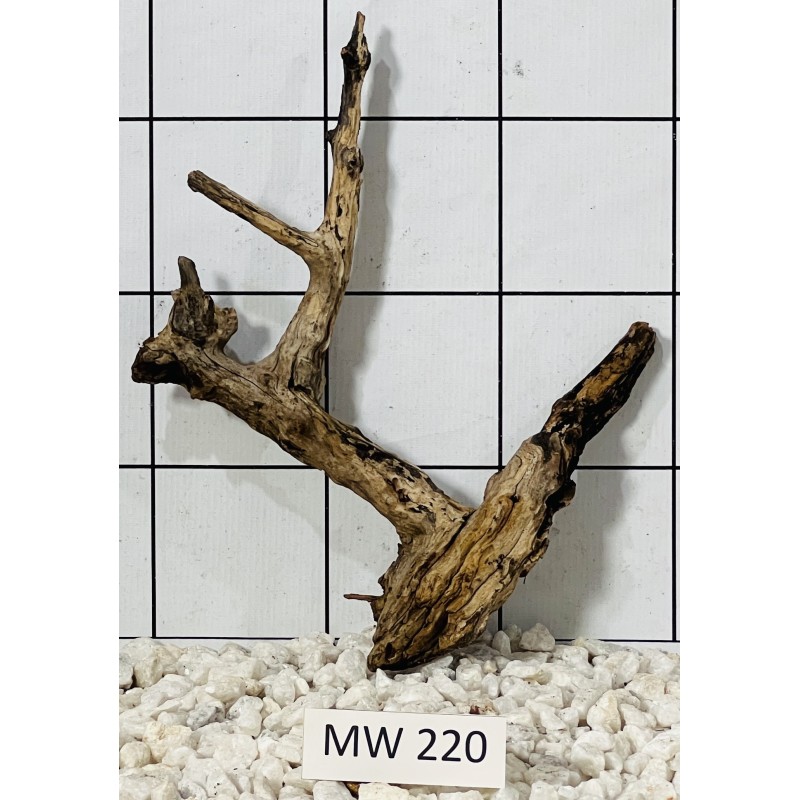 Mangrovewood 220