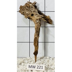 Mangrovewood 221