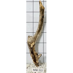 Mangrovewood 222