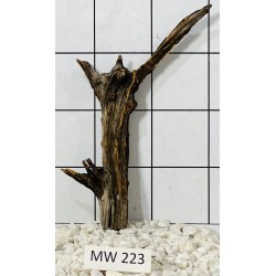 Mangrovewood 223