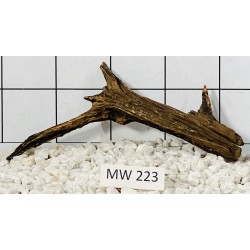 Mangrovewood 223