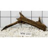 Mangrovewood 223