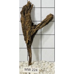 Mangrovewood 224