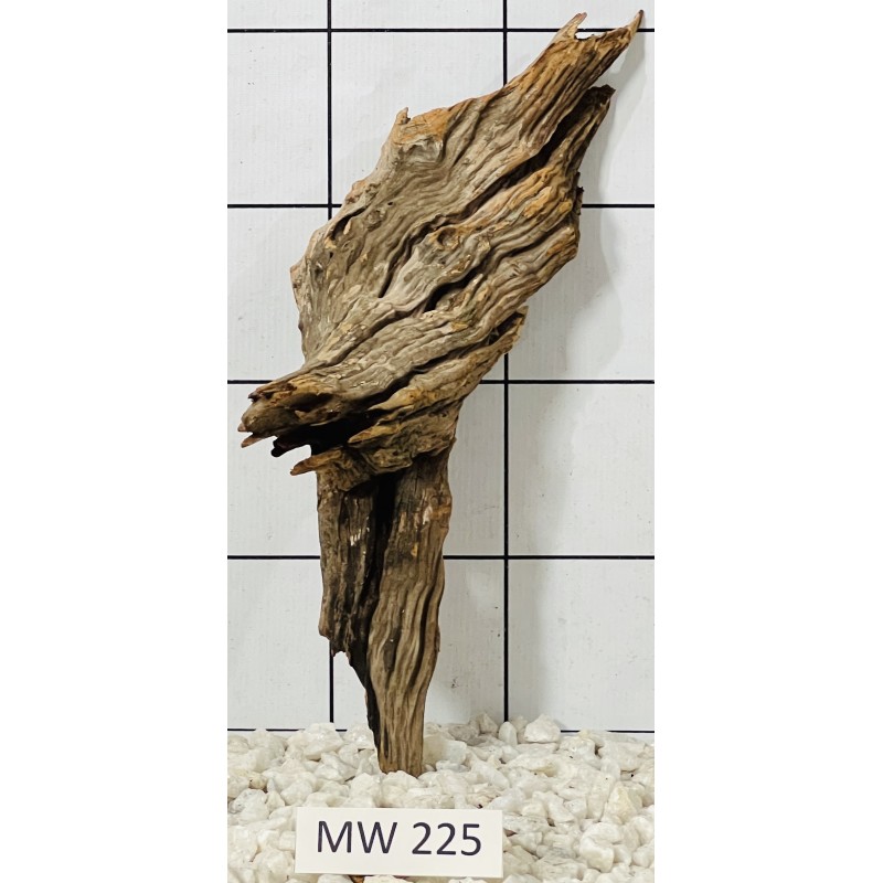 Mangrovewood 225