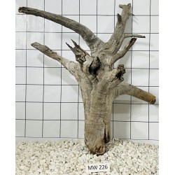 Mangrovewood 226