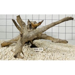 Mangrovewood 226