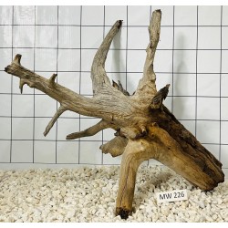 Mangrovewood 226