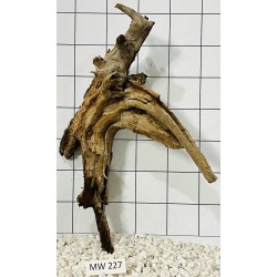 Mangrovewood 227