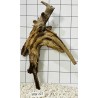 Mangrovewood 227