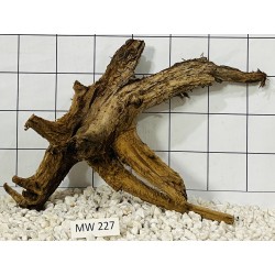 Mangrovewood 227