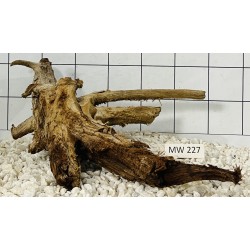 Mangrovewood 227