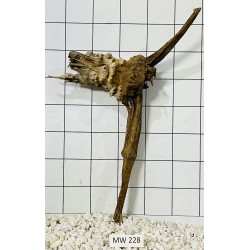 Mangrovewood 228