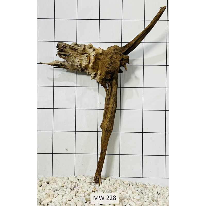 Mangrovewood 228