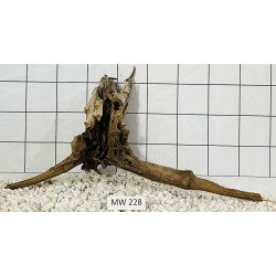 Mangrovewood 228