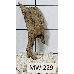 Mangrovewood 229