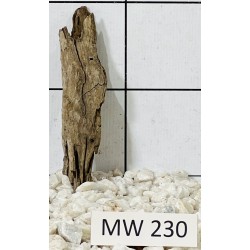 Mangrovewood 230