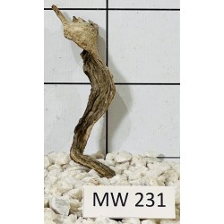 Mangrovewood 231