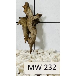 Mangrovewood 232