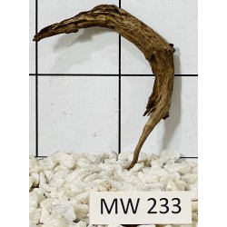 Mangrovewood 233