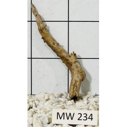 Mangrovewood 234
