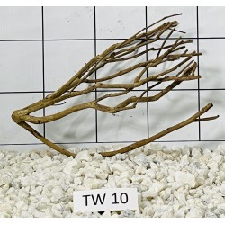 Talawa wood 10