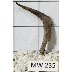 Mangrovewood 235