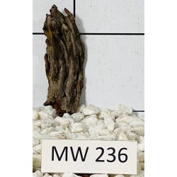 Mangrovewood 236