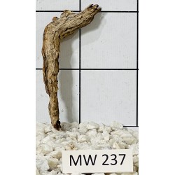 Mangrovewood 237
