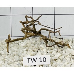 Talawa wood 10