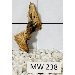 Mangrovewood 238