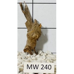 Mangrovewood 240