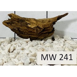 Mangrovewood 241