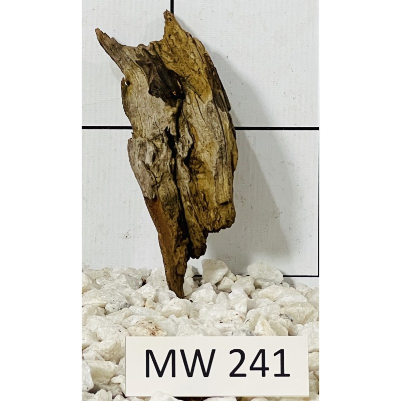 Mangrovewood 241