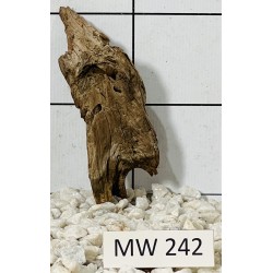 Mangrovewood 242