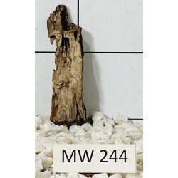 Mangrovewood 244