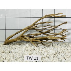 Talawa wood 11