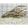 Talawa wood 11